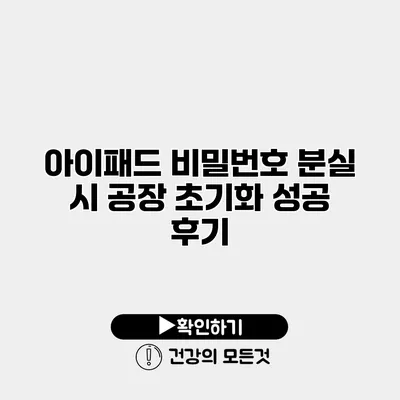 아이패드 비밀번호 분실 시 공장 초기화 성공 후기