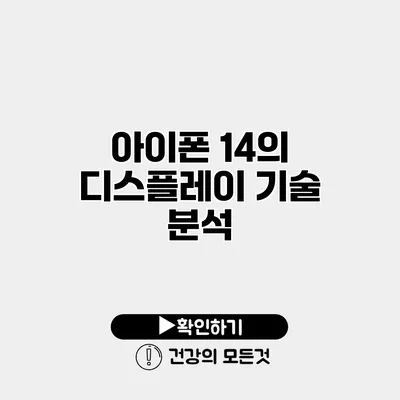 아이폰 14의 디스플레이 기술 분석