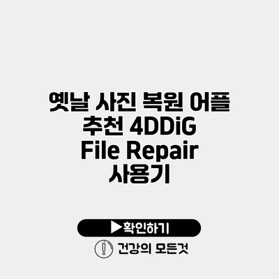 옛날 사진 복원 어플 추천 4DDiG File Repair 사용기