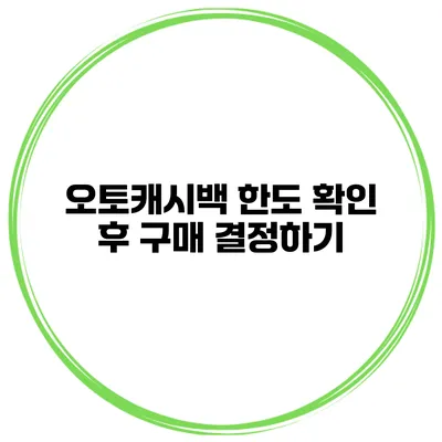 오토캐시백 한도 확인 후 구매 결정하기