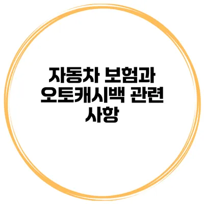 자동차 보험과 오토캐시백 관련 사항
