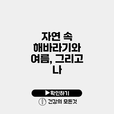 자연 속 해바라기와 여름, 그리고 나