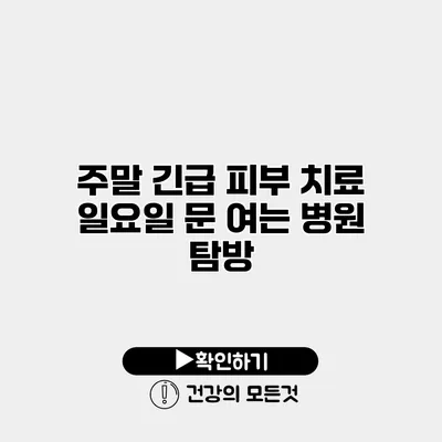 주말 긴급 피부 치료 일요일 문 여는 병원 탐방