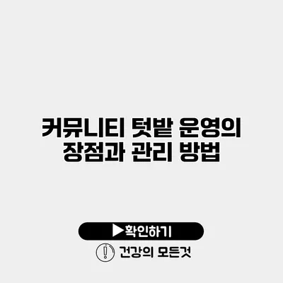 커뮤니티 텃밭 운영의 장점과 관리 방법
