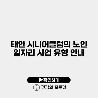 태안 시니어클럽의 노인 일자리 사업 유형 안내