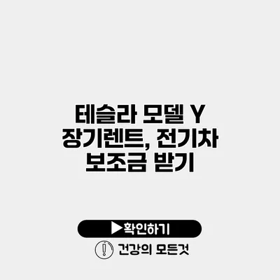 테슬라 모델 Y 장기렌트, 전기차 보조금 받기