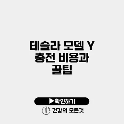 테슬라 모델 Y 충전 비용과 꿀팁