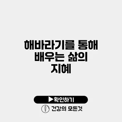 해바라기를 통해 배우는 삶의 지혜