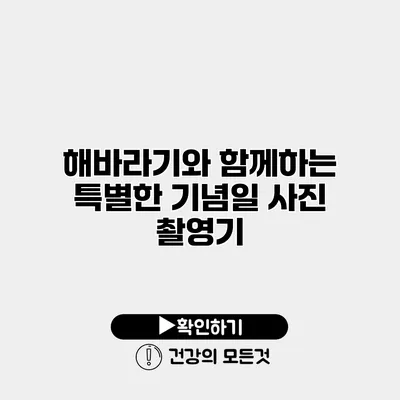 해바라기와 함께하는 특별한 기념일 사진 촬영기