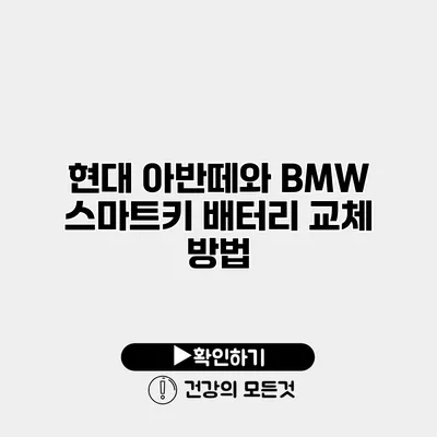 현대 아반떼와 BMW 스마트키 배터리 교체 방법