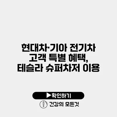 현대차·기아 전기차 고객 특별 혜택, 테슬라 슈퍼차저 이용
